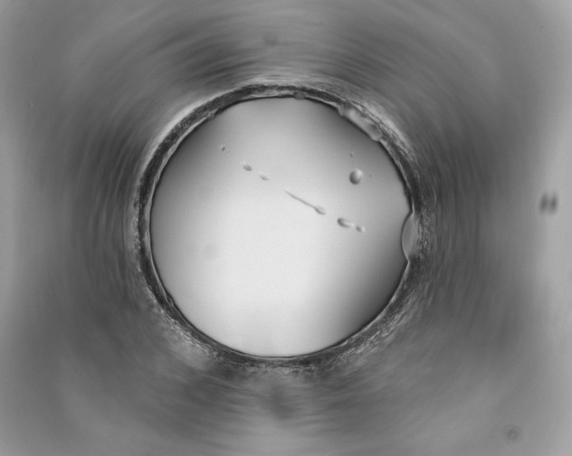 X0000090710976200708101502