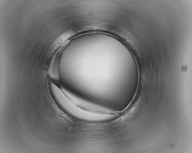 X0000090710977200708101502