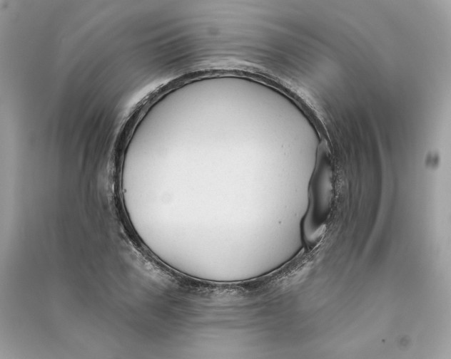 X0000090710979200708101501