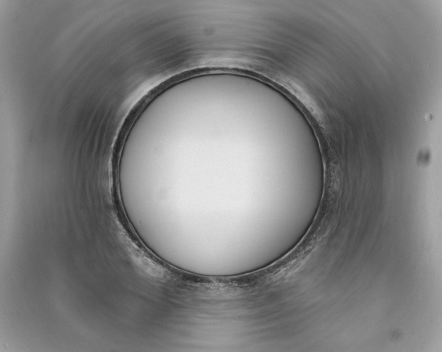 X0000090710980200708101501