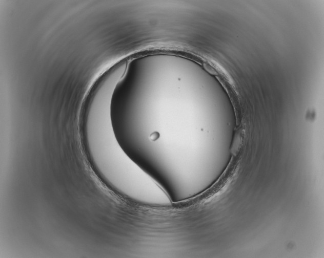 X0000090710981200708101501