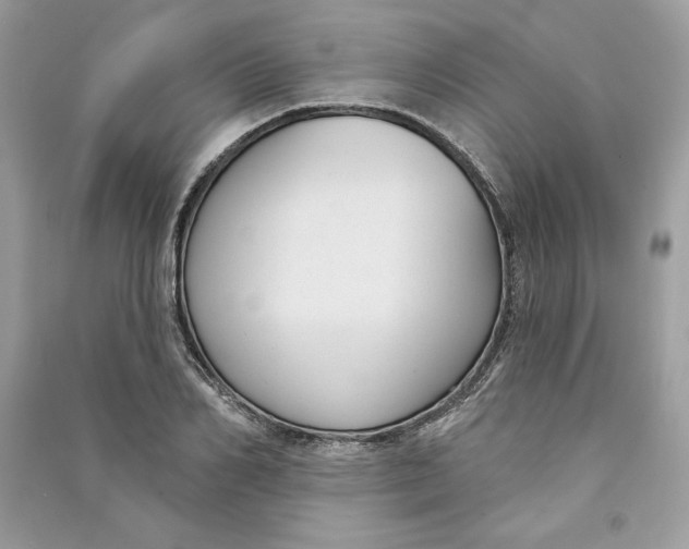 X0000090710982200708101501