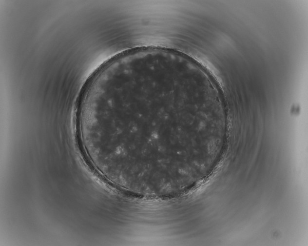 X0000090710983200708101501