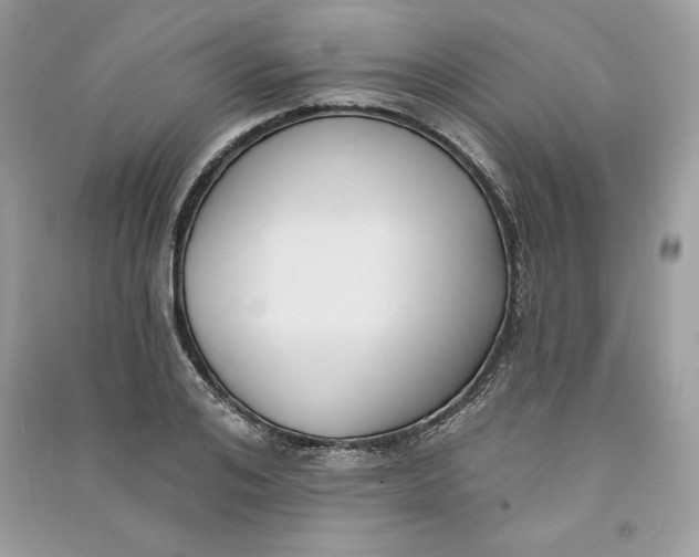 X0000090710984200708101501