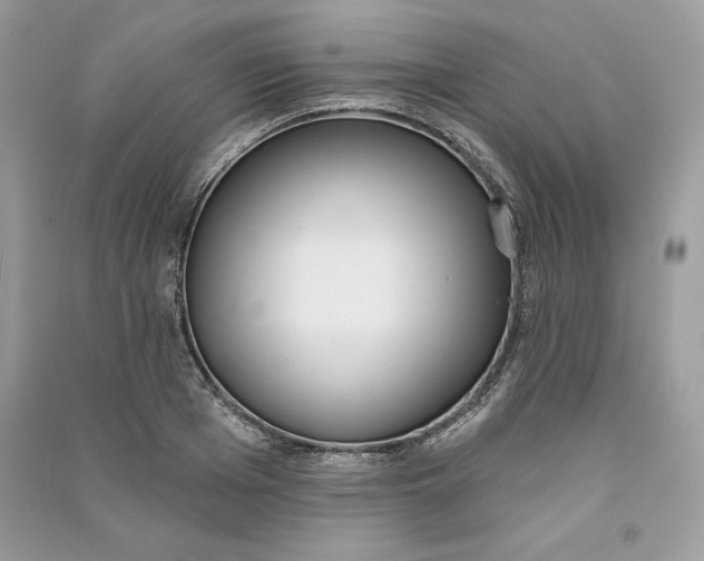 X0000090710985200708101501