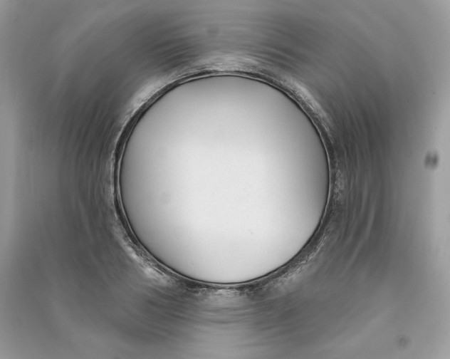 X0000090710986200708101501