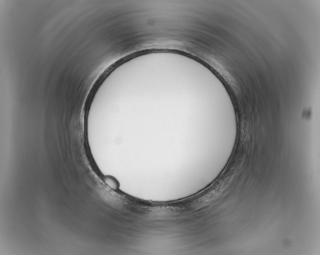 X0000090710988200708101501