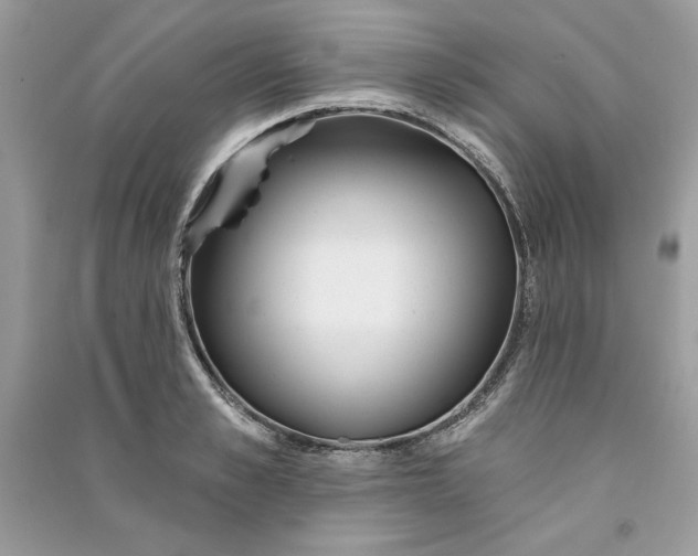 X0000090710989200708101501