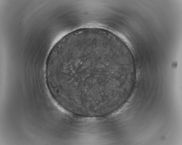 X0000090710990200708101501