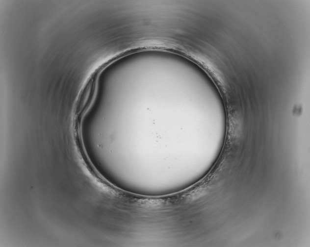 X0000090710991200708101501