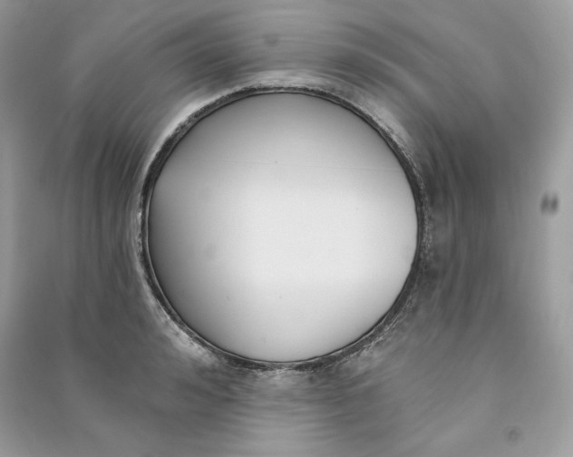 X0000090710992200708101501