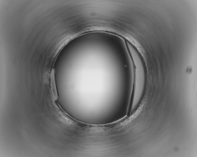 X0000090710993200708101501