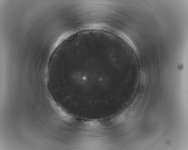 X0000090710994200708101501