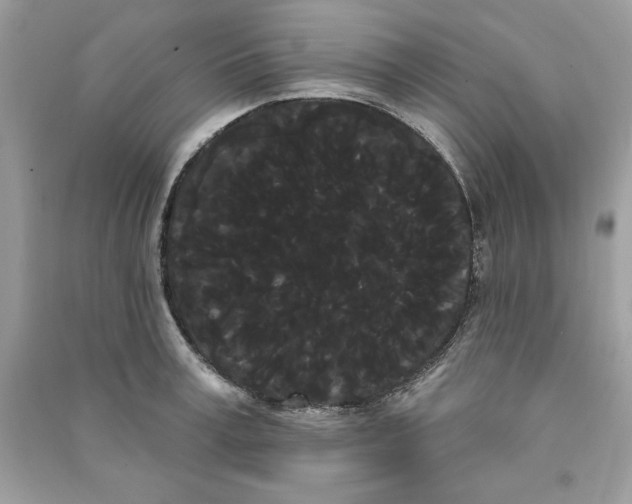 X0000090710995200708101501