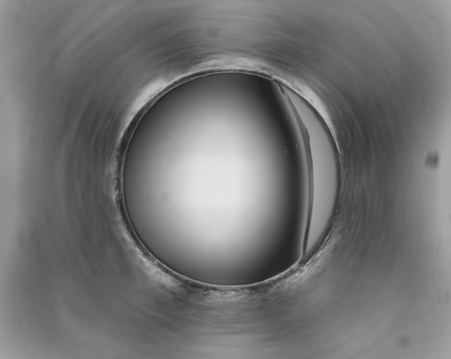 X0000090710997200708101501