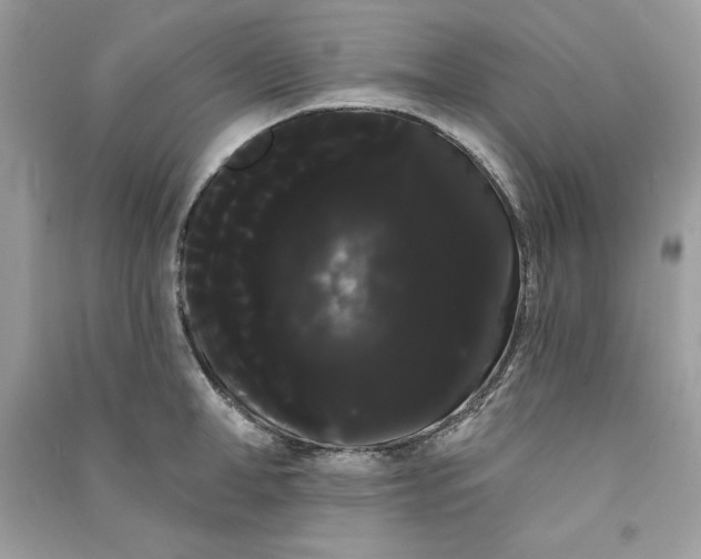 X0000090710998200708101501