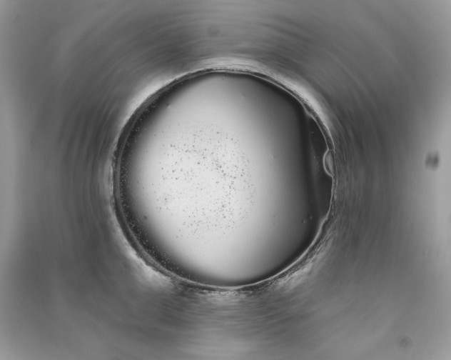 X0000090710999200708101501