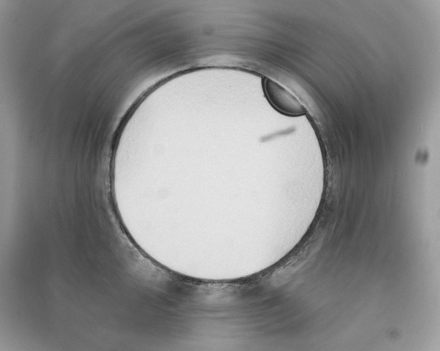 X0000090711000200708101501