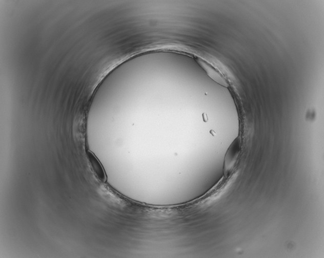 X0000090711001200708101501