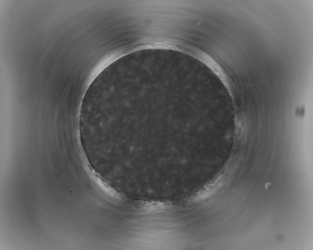 X0000090711002200708101501