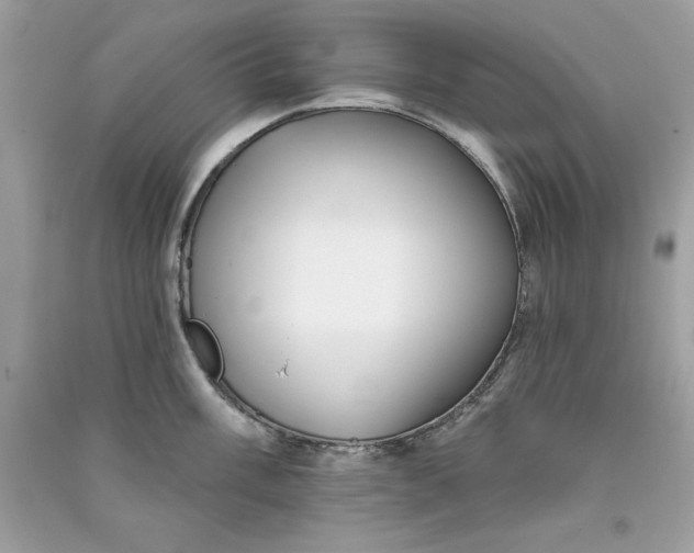 X0000090711003200708101501