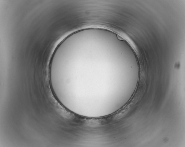 X0000090711004200708101501