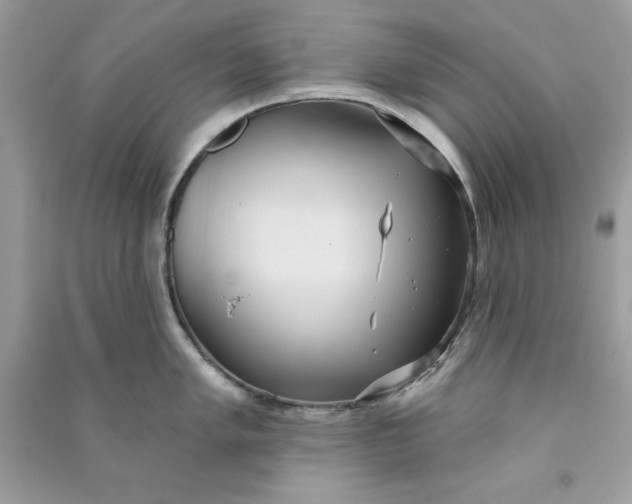 X0000090711005200708101501