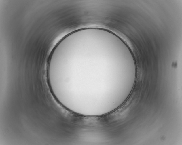 X0000090711006200708101501