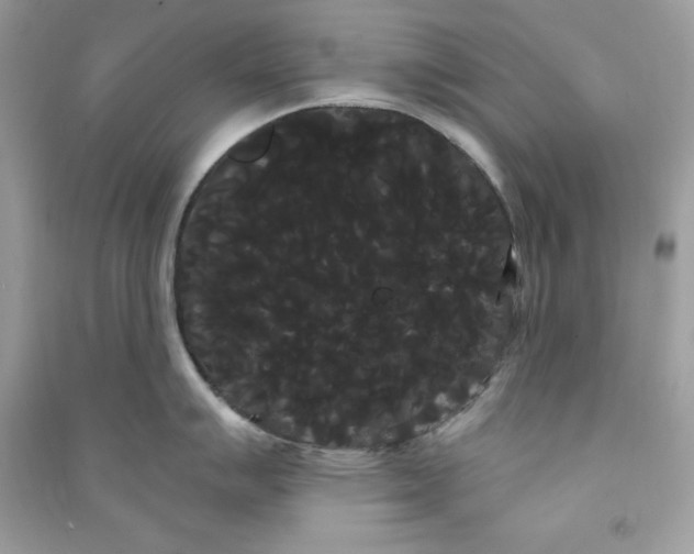 X0000090711007200708101501