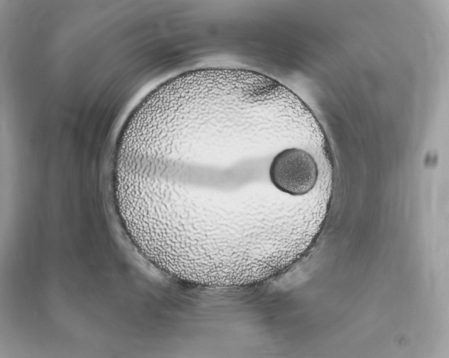 X0000090711008200708101501