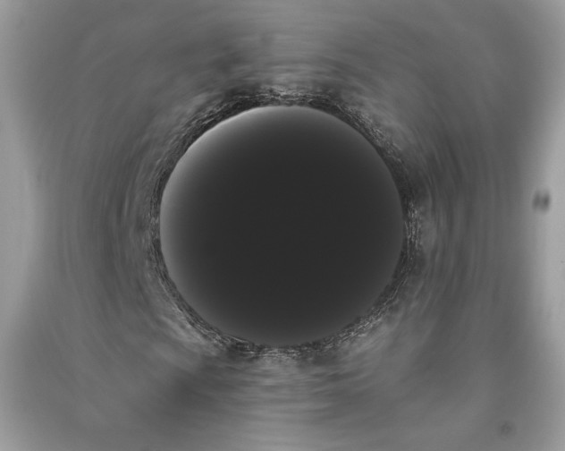 X0000090711009200708101501