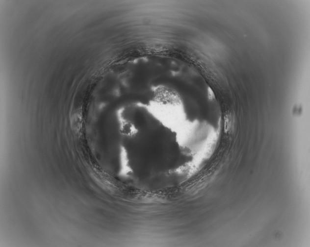 X0000090711011200708101501