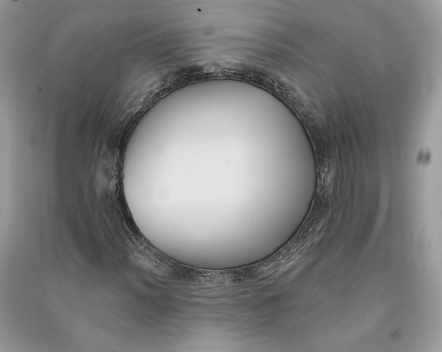 X0000090711012200708101501