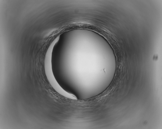 X0000090711014200708101501