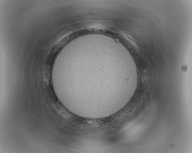 X0000090711015200708101501