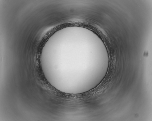 X0000090711016200708101501