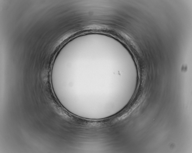 X0000090711017200708101501