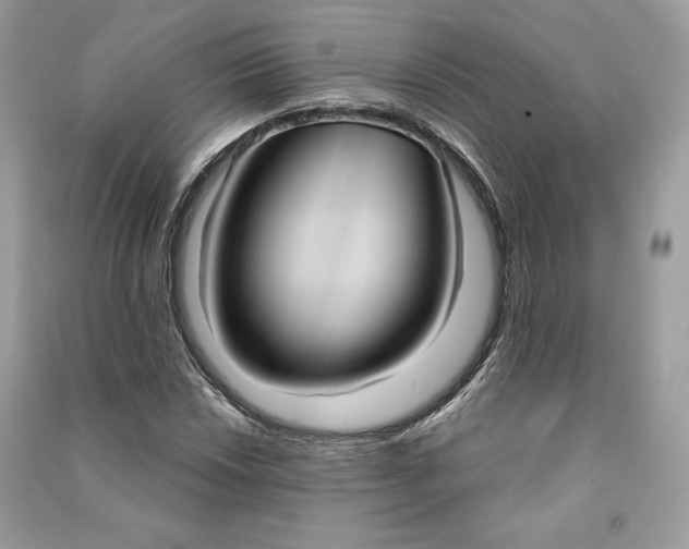 X0000090711018200708101501