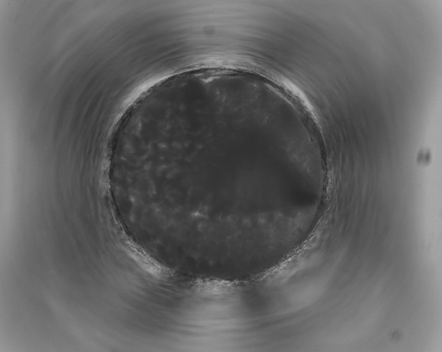 X0000090711019200708101501