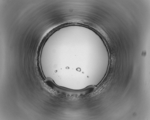 X0000090711020200708101501