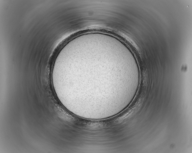 X0000090711021200708101501