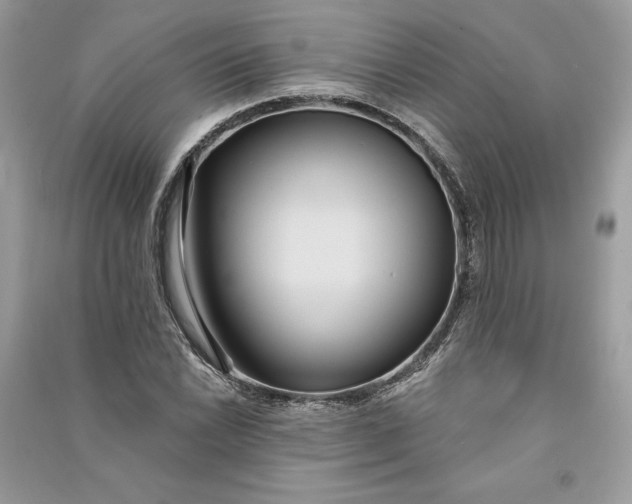 X0000090711022200708101501