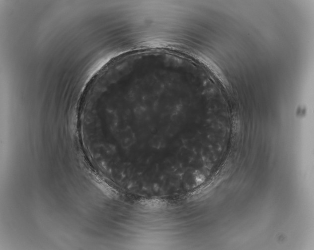 X0000090711023200708101501