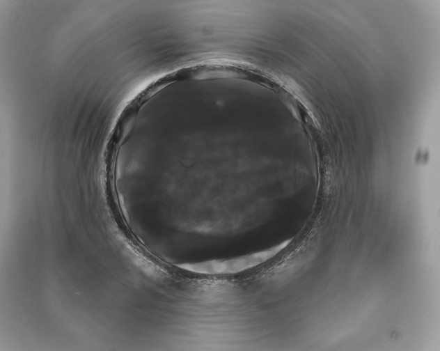 X0000090711024200708101501