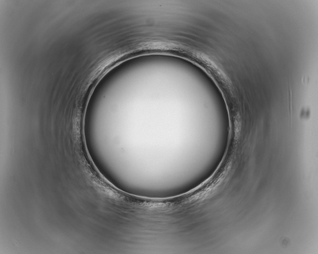 X0000090711025200708101501