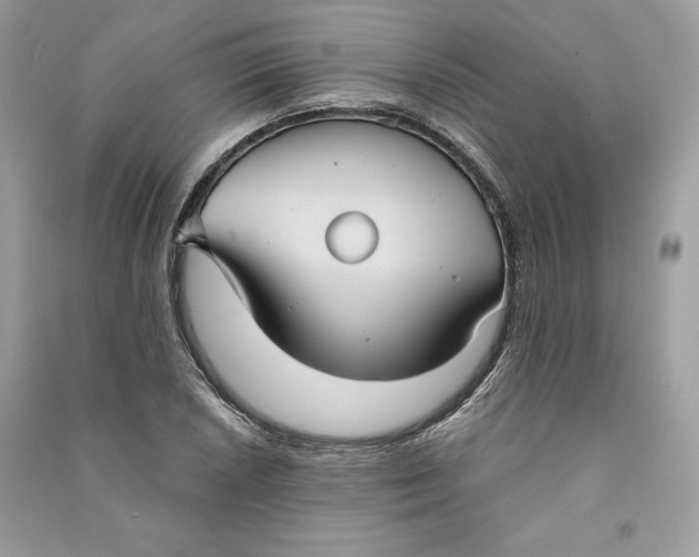 X0000090711026200708101501