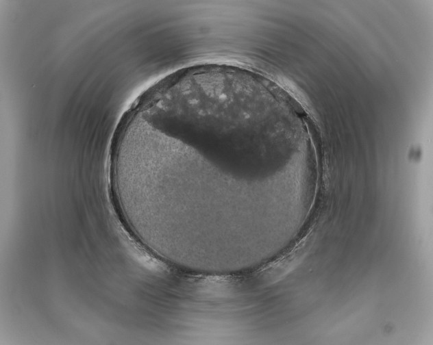 X0000090711028200708101501