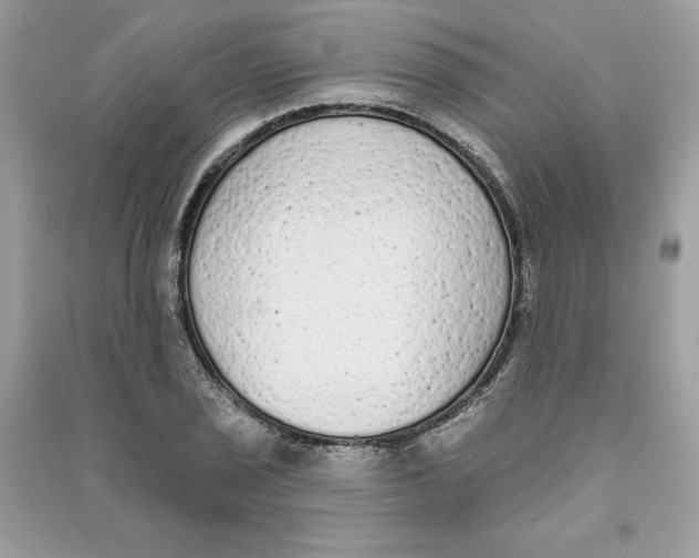 X0000090711029200708101501