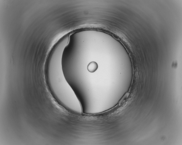 X0000090711030200708101501