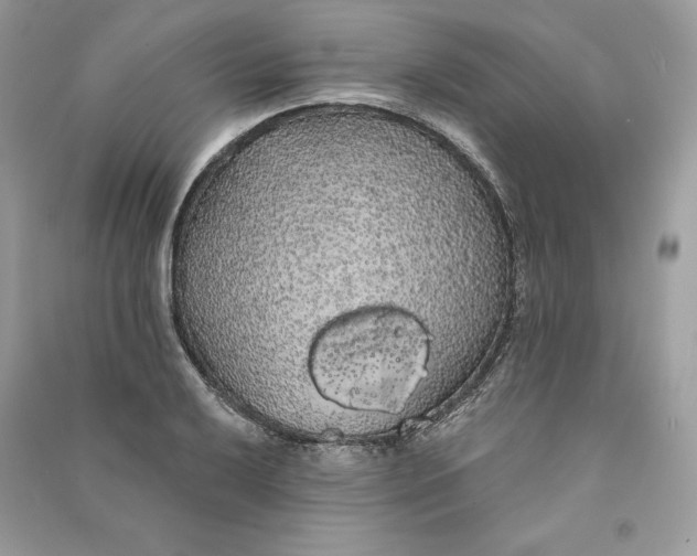 X0000090711032200708101501